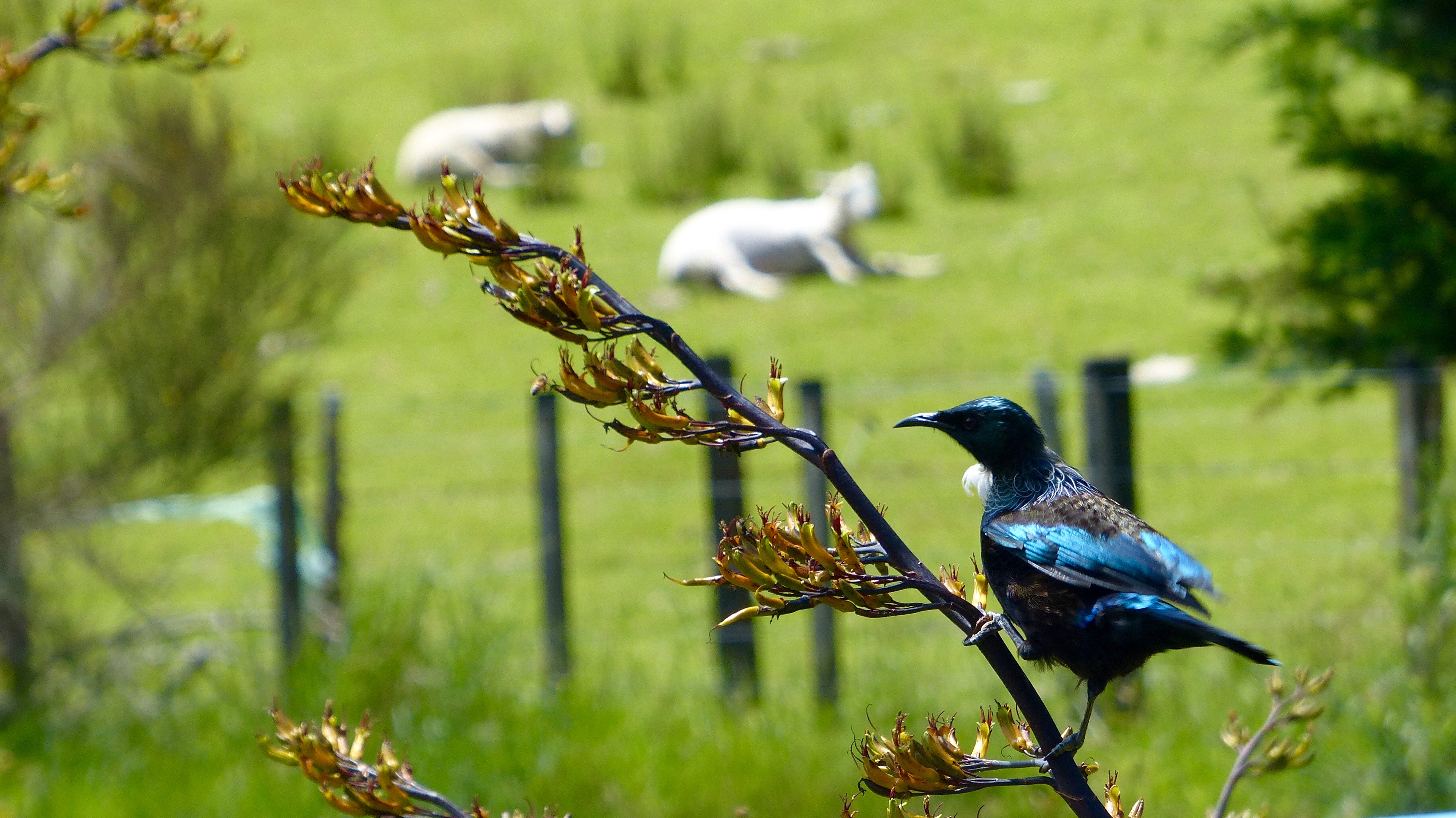 Catherine Cooper and Home
