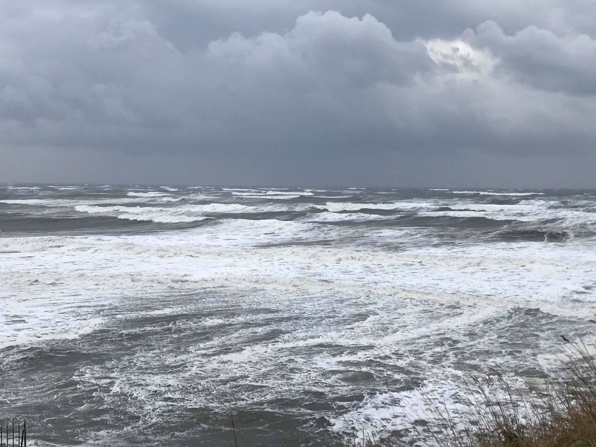 Sutherland’s Beasts