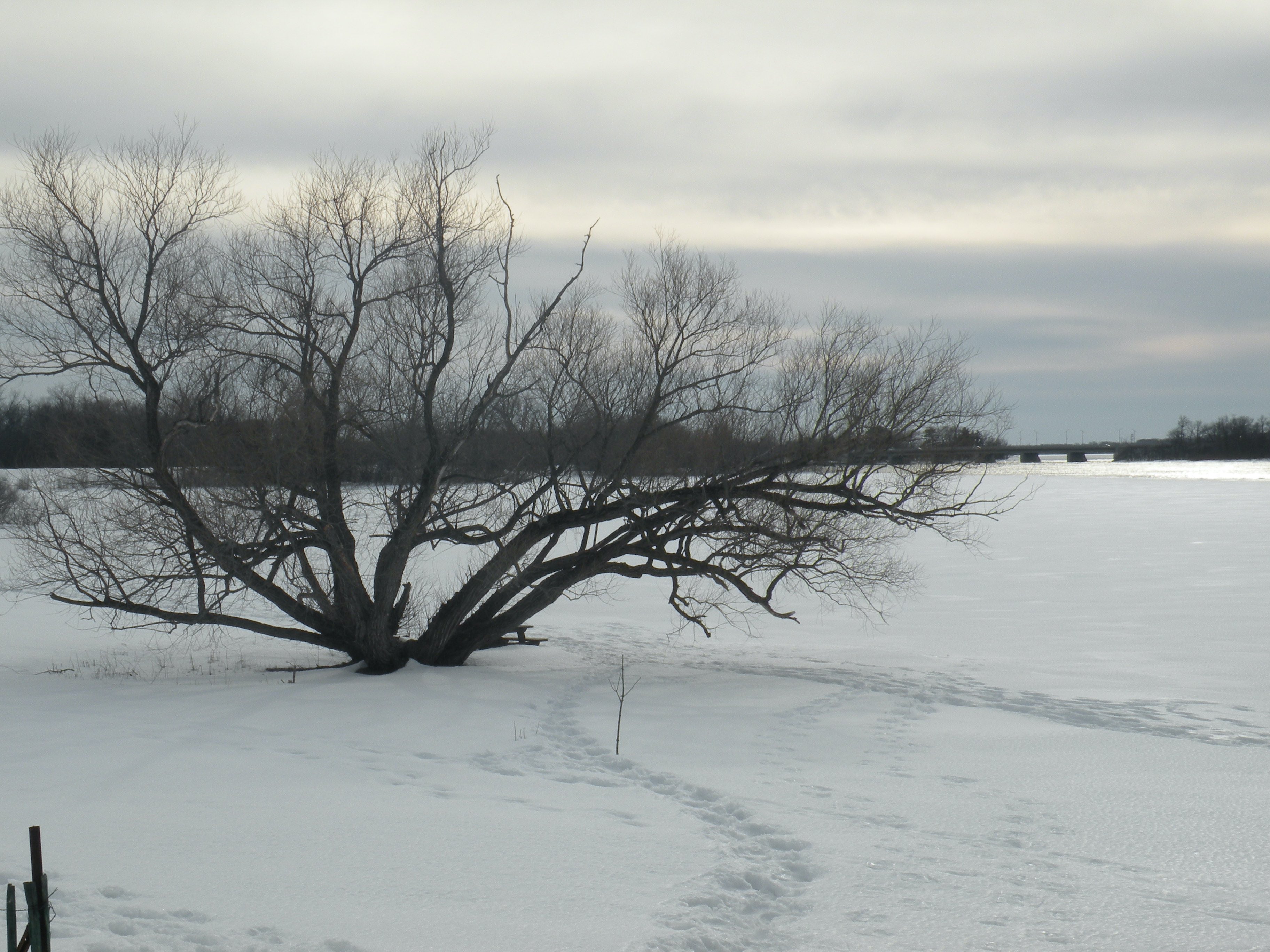 Poetry: Blaine Marchand