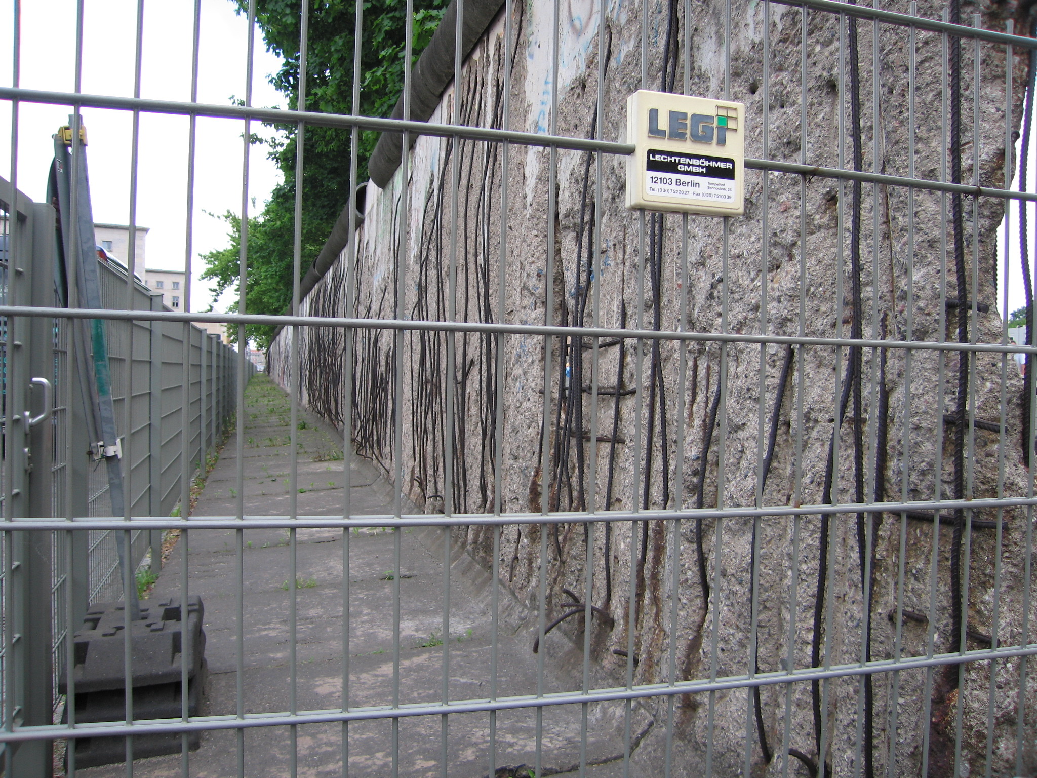 Gnarled Friendship From a Rooftop Garden